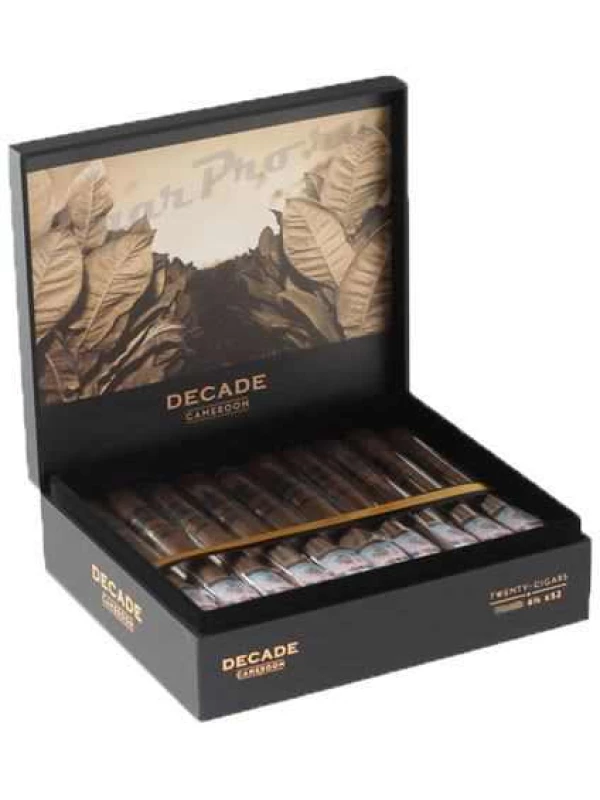 Rocky Patel Decade Cameroon Robusto