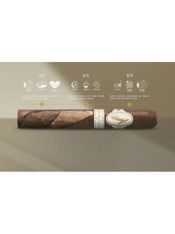 Подарочный набор сигар Davidoff Limited Edition 2019 Robusto Real Especiales 7