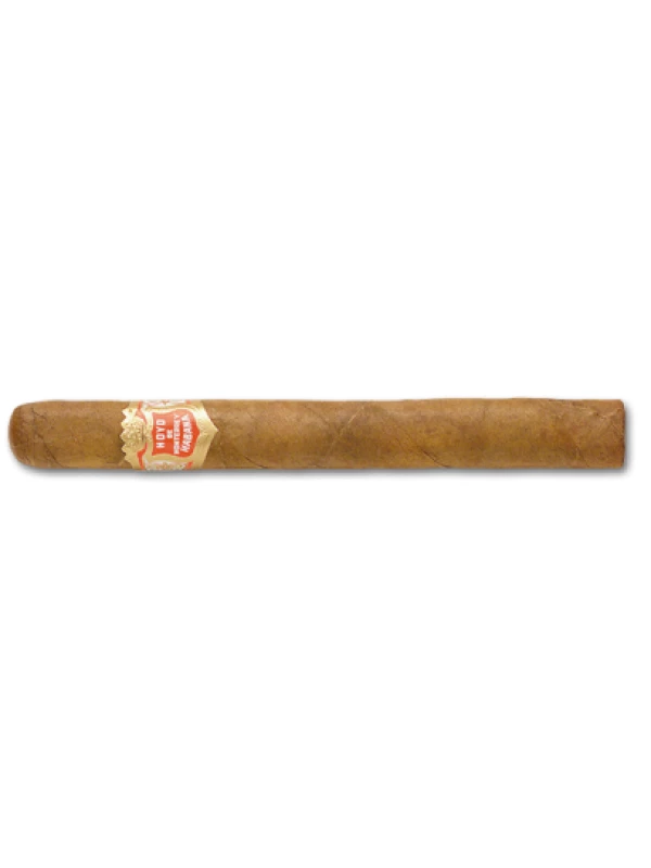 Hoyo de Monterrey Palmas Extra