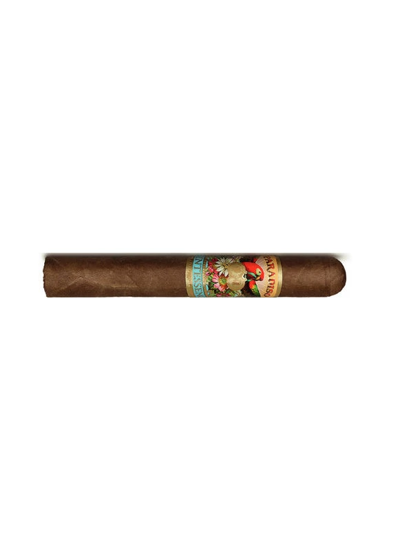 Paradiso Quintessence Robusto