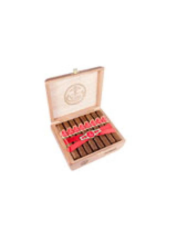 5 Vegas Classic Robusto