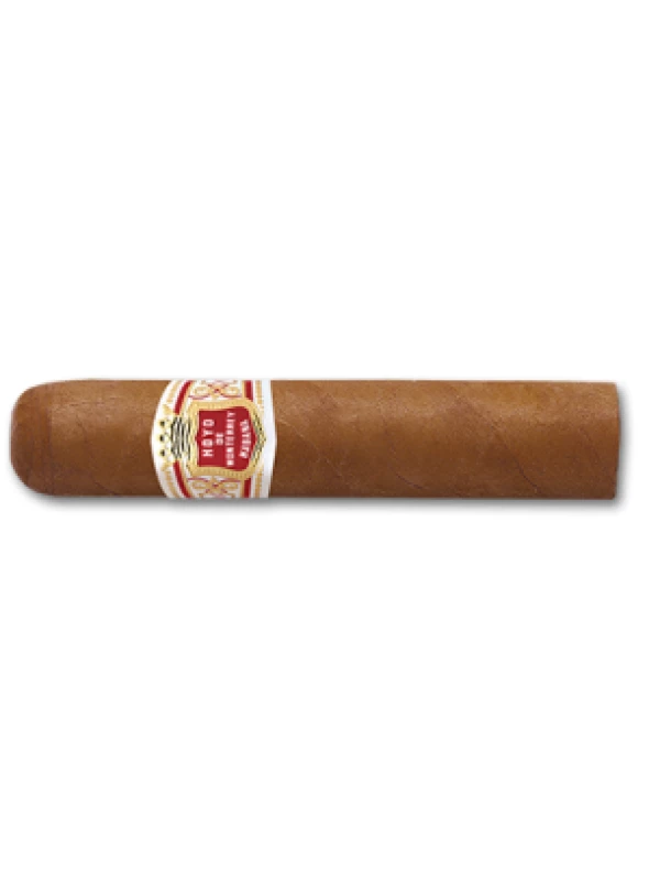 Hoyo de Monterrey Petit Robusto