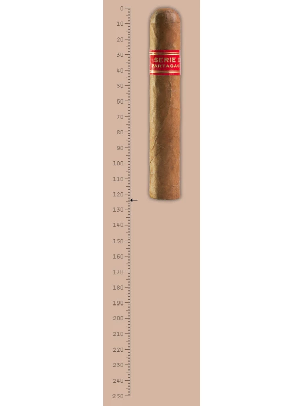 Partagas Serie D № 4