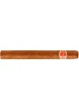 Romeo y Julieta Cazadores — фото 1