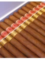 Romeo Y Julieta Churchills — фото 4