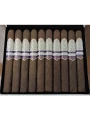 Rocky Patel Special Edition Toro — фото 2