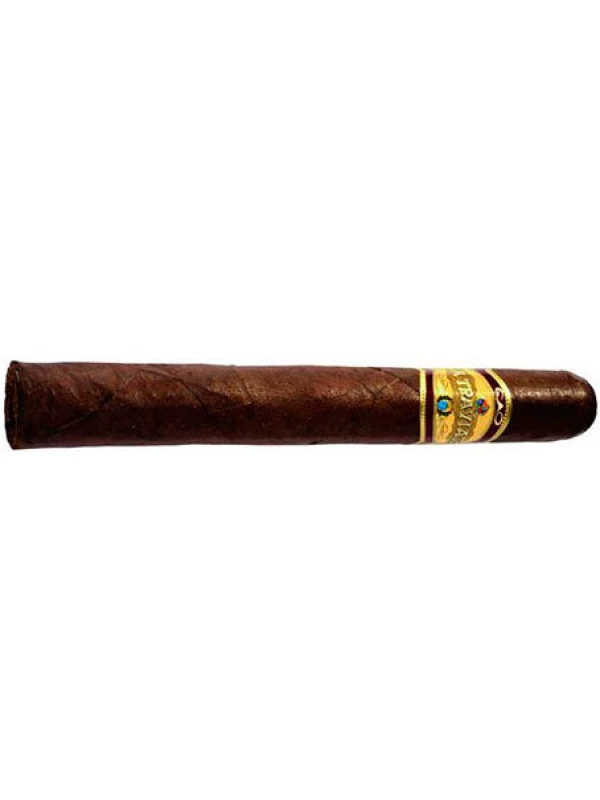 CAO La Traviata Animado