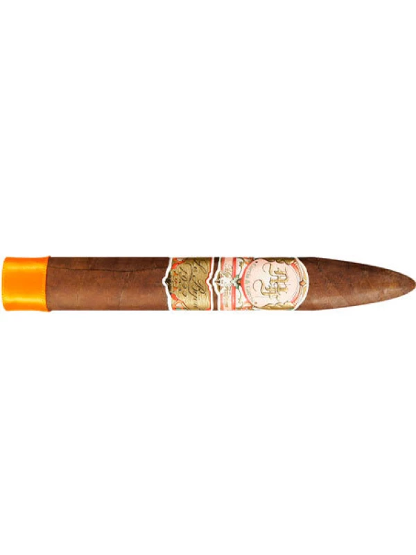 My Father Le Bijou 1922 Torpedo