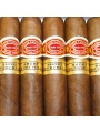 Romeo Y Julieta Short Churchills — фото 11