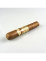 Paradiso Revelation Leviathan — фото 4