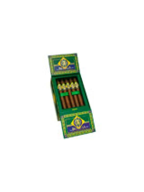 CAO Brazilia Samba