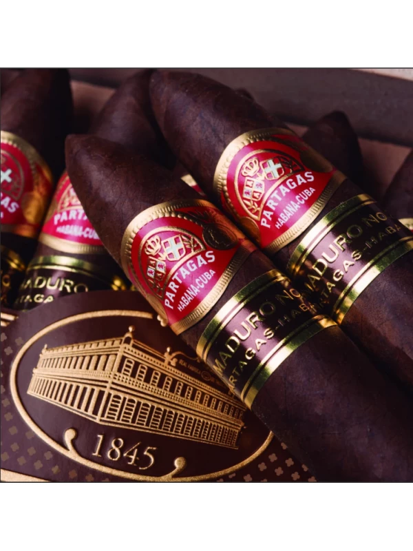 Partagas Maduro № 2