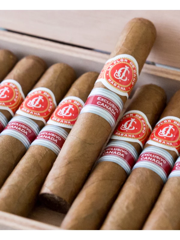 La Flor de Cano Siboney