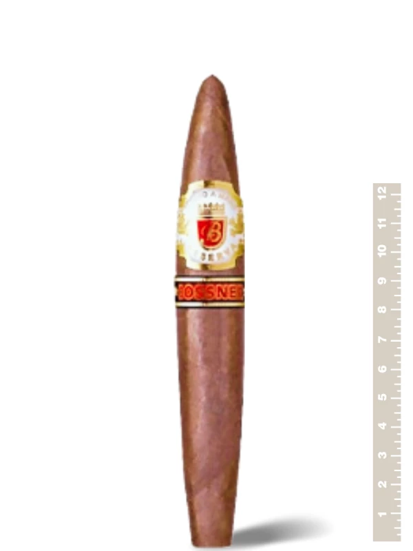 Bossner Ambassador