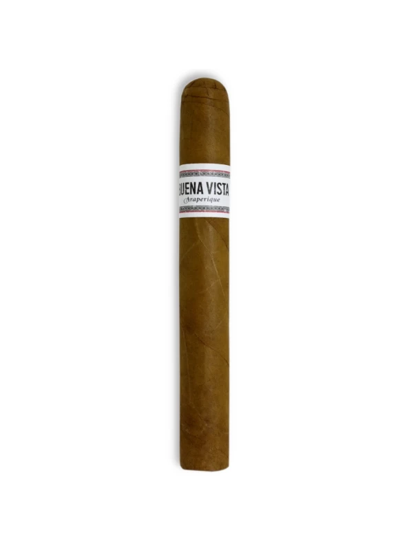 Arnold Andre Buena Vista Araperique Toro