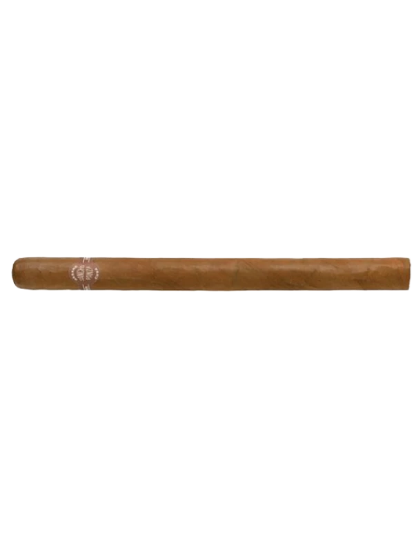 Sancho Panza Sanchos