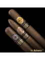 Ramon Allones Allones № 2 Ediciones Limitada 2019 — фото 4