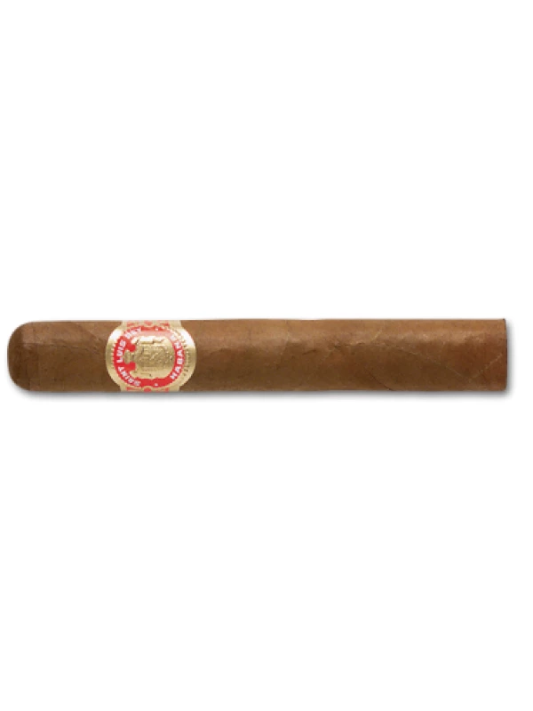Saint Luis Rey Regios