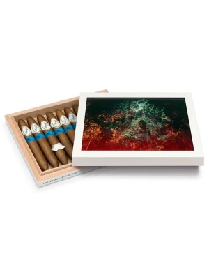Сигары Подарочный набор сигар Davidoff LE Art 2016