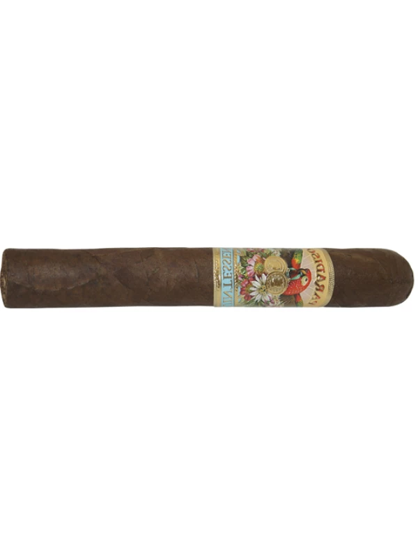 Paradiso Quintessence Epicure