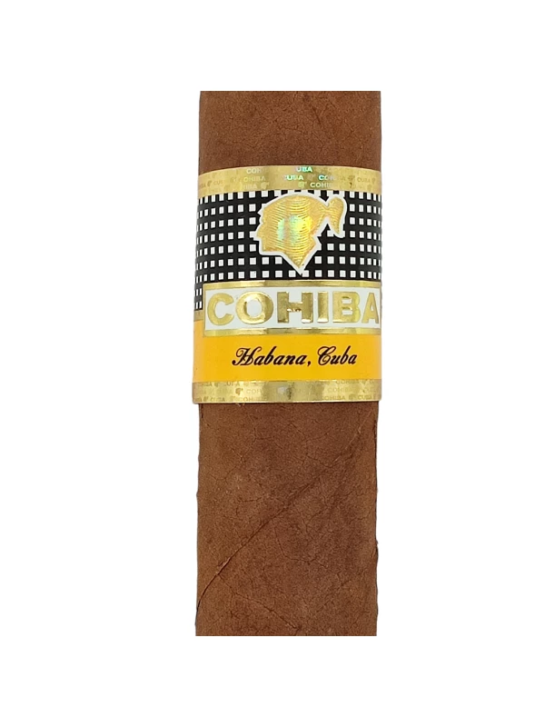 Cohiba Robustos