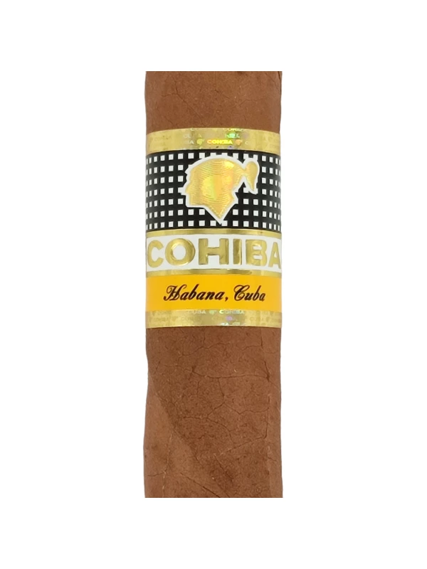 Cohiba Siglo V