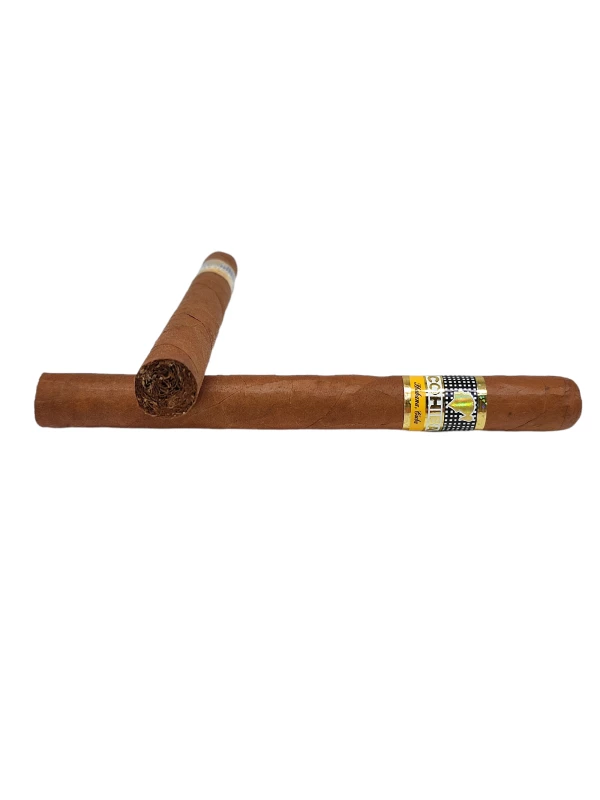 Cohiba Siglo V