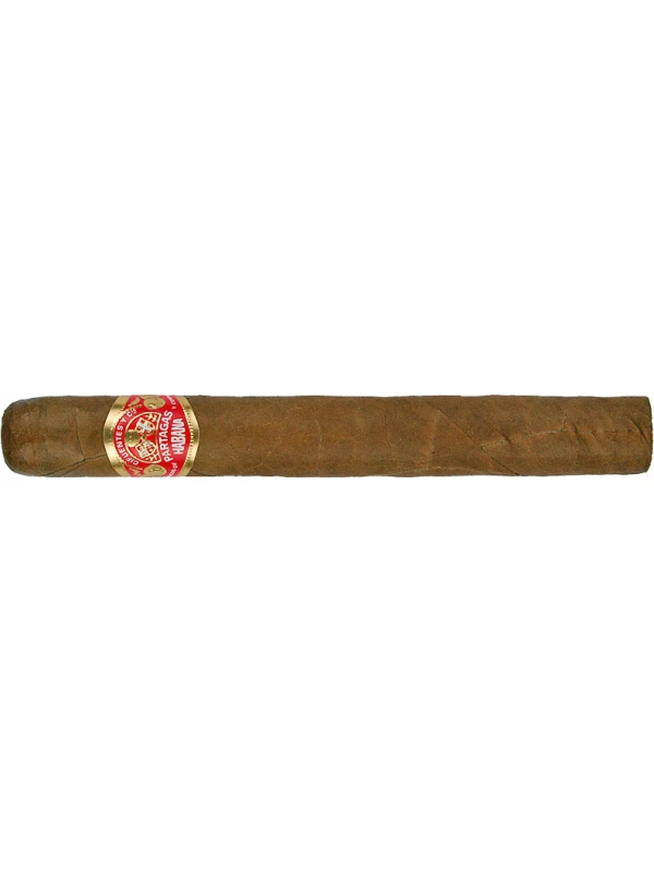 Partagas Coronas Senior Tubos