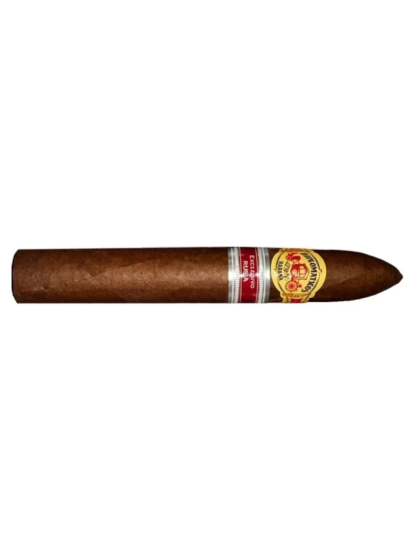 Diplomaticos Protocolo