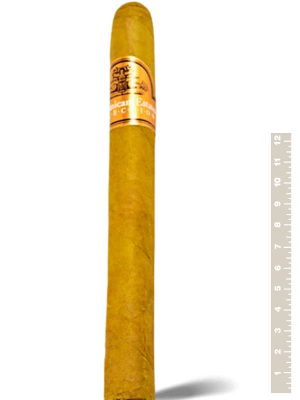 Dominican Estates Churchill