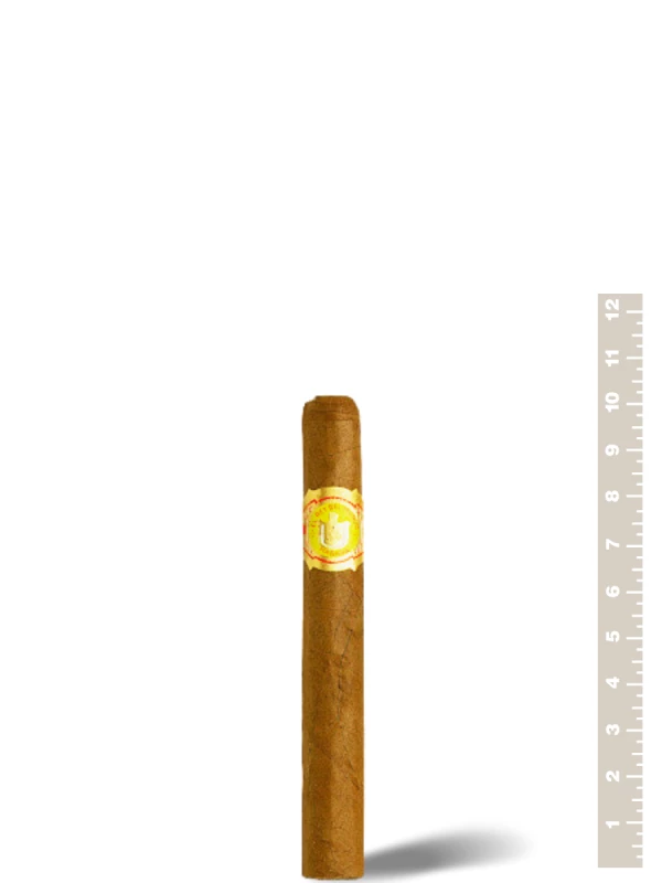 El Rey Del Mundo Demi Tasse