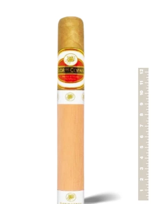 Сигары Flor de Copan Titan