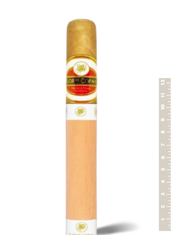 Flor de Copan Titan