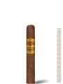 Flor de Oliva Maduro Robusto — фото 1
