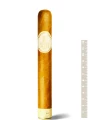Flor de Selva Toro Anniversary №20 — фото 1