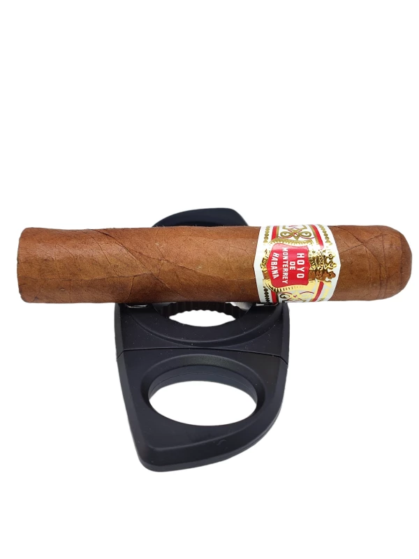 Hoyo de Monterrey Petit Robusto