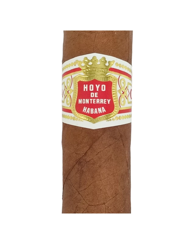 Hoyo de Monterrey Petit Robusto