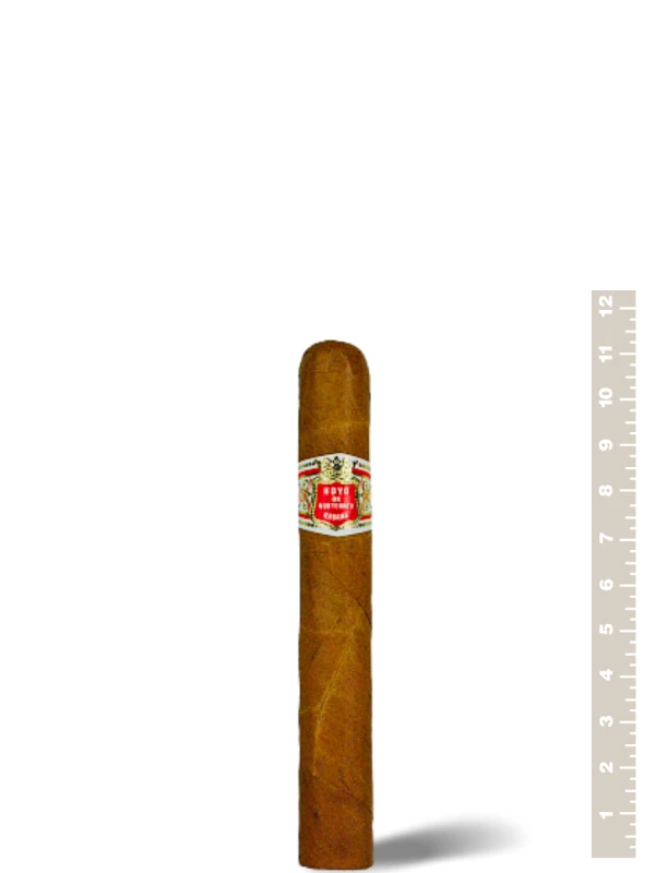 Hoyo de Monterrey Le Hoyo Du Depute