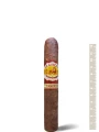 La Aurora 1903 Edition Cameroon Robusto — фото 1
