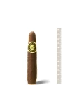 Macanudo Maduro Diplomat — фото 1