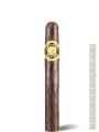 Macanudo Maduro Hyde Park — фото 1