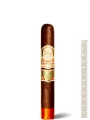 My Father Le Bijou 1922 Grand Robusto — фото 1