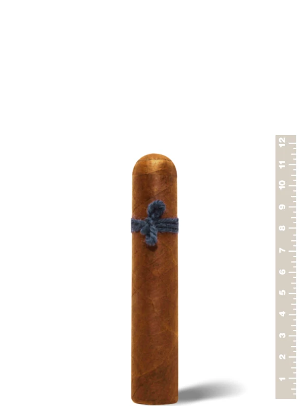 Nicarao Furia Tisiphone Alecto Robusto