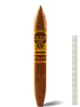 Oliva Serie V Melanio Figurado — фото 1
