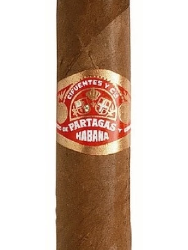 Partagas Shorts