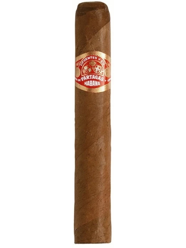 Partagas Shorts