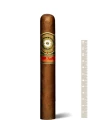 Perdomo 20 years Anniversary Epicure Maduro — фото 1