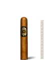 Perdomo Edicion de Silvio Robusto — фото 1