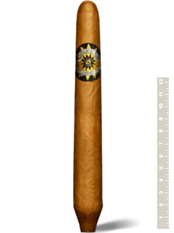 Perdomo Edicion De Silvio Salomon