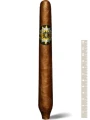 Perdomo Edicion de Silvio Salomon Maduro — фото 1